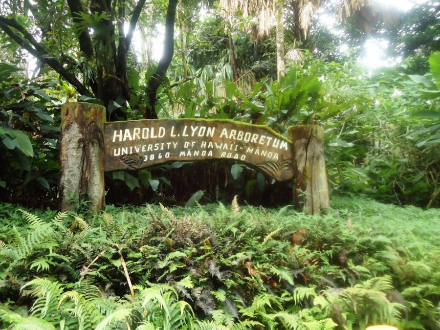 https://onlyinhawaii.org/lyon-arboretum-honolulu-hawaii/