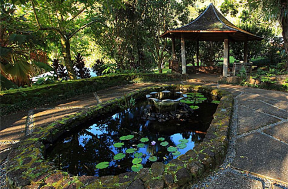 https://manoa.hawaii.edu/lyonarboretum/gardens/