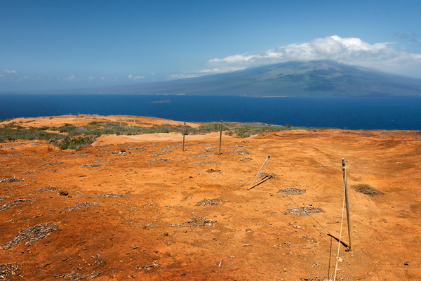 Kahoolawe Rejuvenation