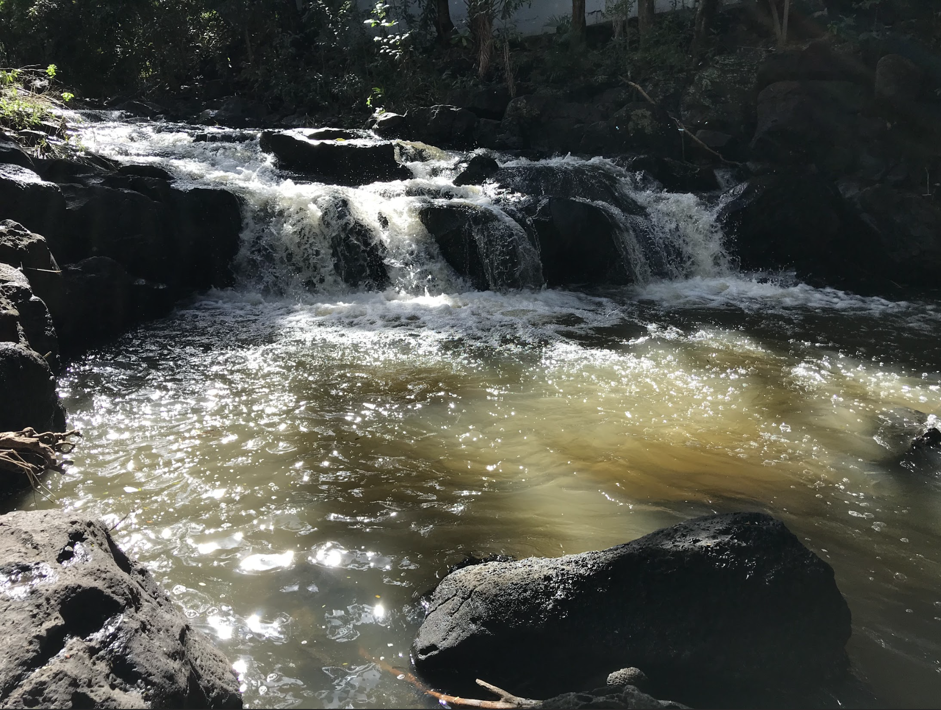 A Shared Vision to Restore Pālolo Stream